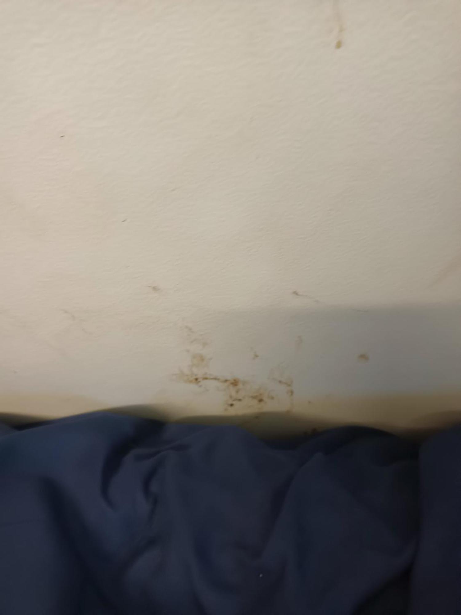 Single Room In Wollongong Near Uni Keiraville Quarto foto