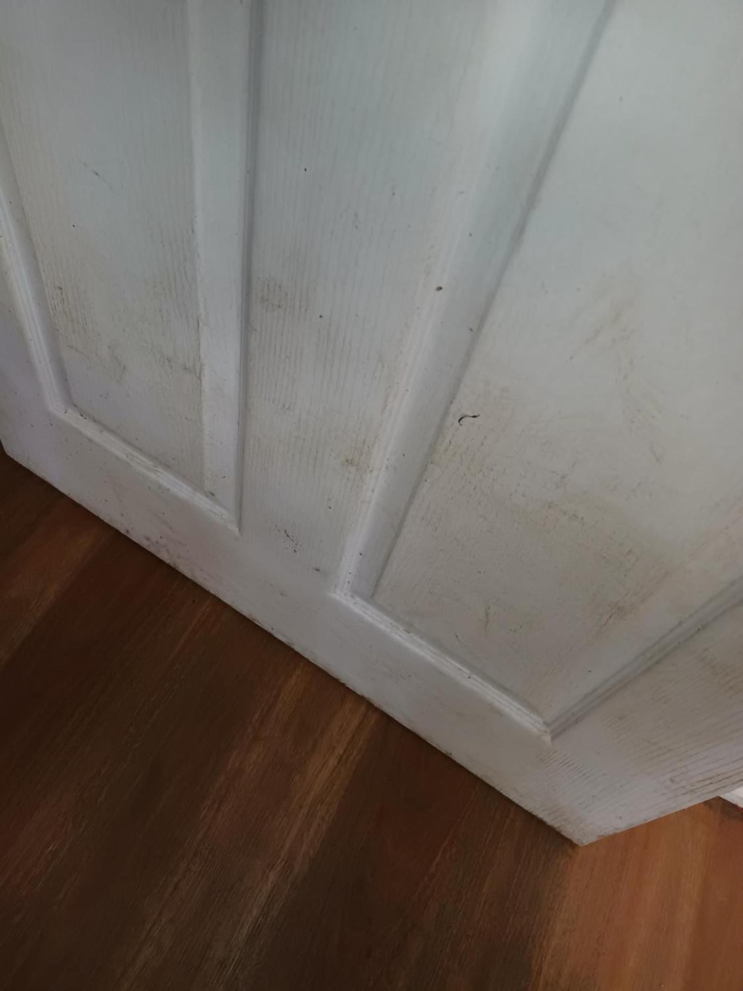 Single Room In Wollongong Near Uni Keiraville Quarto foto