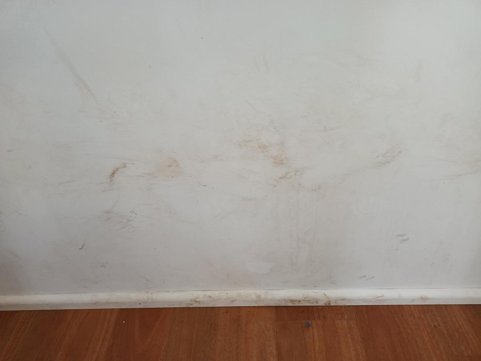 Single Room In Wollongong Near Uni Keiraville Quarto foto